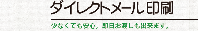 ダイレクトメール印刷／少なくても安心。即日お渡しも出来ます。